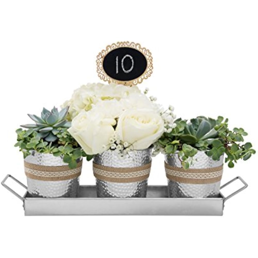indoor herb pots with tray
