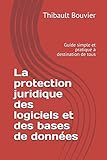 La protection juridique des logiciels et des bases de données: Guide simple et pratique à destinat by Thibault Bouvier