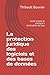 La protection juridique des logiciels et des bases de données: Guide simple et pratique à destinat by Thibault Bouvier