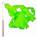 Shxstore Rhythmic Gymnastics Ribbon, Praise Dancing Streamers for Kids, Green, 1 Set