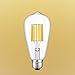 CRLight 10W LED Edison Bulb 2700K Warm White 1000LM, 100W Incandescent Equivalent E26 Medium Base, ST64 Vintage LED Filament Bulbs, 360 Degrees Beam Angle, Non-dimmable, Pack of 3