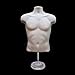 Male Mannequin Torso, Dress Form Hollow Back Body or Tshirt Display, w/Economic Plastic Stand for Counter or Hanging by EZ-Mannequins Temporal Photos or Design, Easy to Assemble and Store, S-M Sizes.