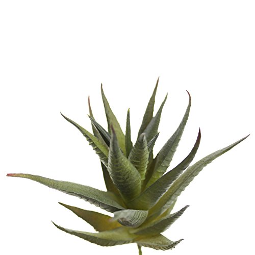 Goodma 3 Pieces Realistic Artificial Aloe Faux Succulent Textured Spiky Green Haworthia Cactus Plants Unpotted (Deep Green) - Thumbnail 2