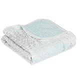aden + anais silky soft metallic stroller blanket, skylight birch