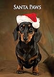 Miniature Dachshund Dog Christmas Card. Large A5 Seasonal Greeting Card with Scarlet Envelope. Perfect for Dog Lovers