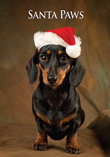 Miniature Dachshund Dog Christmas Card. Large A5 Seasonal Greeting Card with Scarlet Envelope. Perfect for Dog Lovers
