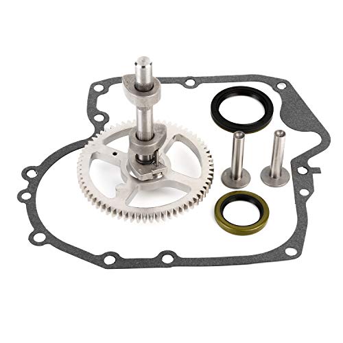 CQYD New Camshaft kit for Briggs & Stratton 793880 Replaces # 793583, 792681, 791942, 795102 Crankcase Gasket Oil Seal