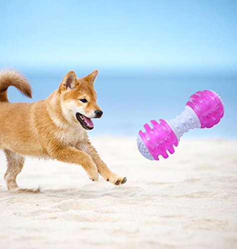 CEESC Puppy Chew Bones Toys, Soft TPR Tooth Cleaning Bone Sound Squeaky Toy for Small and Medium Dogs (Pink) - Thumbnail 3