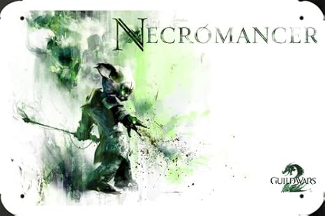 picture Gw2 Asura Necromancer amazon de