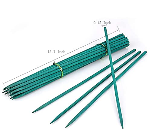 Plant Support Garden Stakes 30 Pcs Bamboo Sticks Sturdy Floral Plant Support Wooden Sign Posting Stick Green