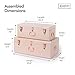 Beautify Blush Pink Vintage Style Steel Metal Storage Trunk Set Lockable and Decorative with Rose Gold Handles - College Dorm and Bedroom Footlocker Trunks