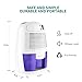 KAIKING Mini Dehumidifier, Portable Electric Auto Shut off Dehumidifiers for Damp Air Mold Moisture in Small Closet Wardrobe Kitchen (Quiet Safe Compact Thermo-electric)