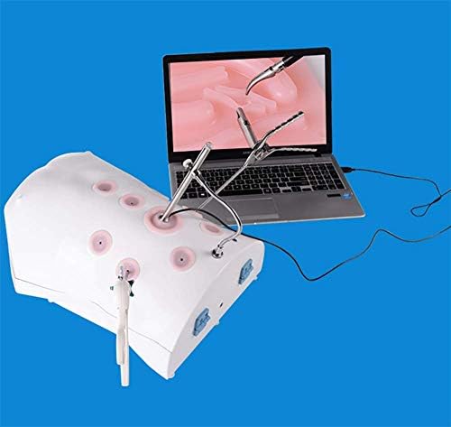 LSTNM Prosthetic Laparoscopic Simulator, Training Simulator Kit Prosthetic Training Box +4 Instruments +4 Modules+ HD 30 Degree Camera