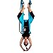 AGPtEK Deluxe Aerial Hammock Yoga Swing/ Inversion/Sling, Flying Antigravity - Blue