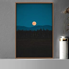 signwin Framed Canvas Wall Art Moon Astronomy &...
