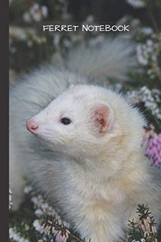 Ferret Notebook: Small lined Ferret notebook - Travel Journal to write in - 120 pages - 6"x9"