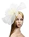 Urban CoCo Women's Elegant Flower Feather and Veil Fascinator Cocktail Party Hair Clip Hat (# 5 Beige)