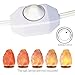 Salt Lamp Cord with Dimmer Control, Betus [Original Replacement] Power Cord with Dim Switch & Clip for All Himalayan Crystal Salt Lamps - UL Listed 6 Feet Long 110V US Standard