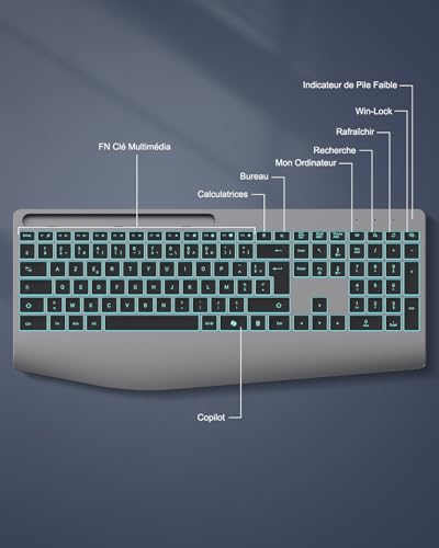 TECURS Ergonomic Wireless Keyboard with Wrist Rest, 2.4G Wireless Quiet Rechargeable Keyboard with Copilot, Backlit, AZERTY Computer Keyboard for Windows 11/10/8/7/Vista/XP, Linux