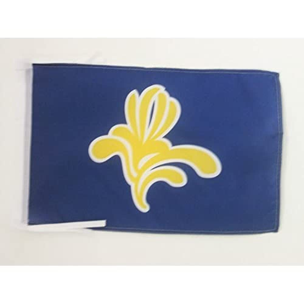 AZ FLAG - Brussels-Capital Region Flag - 18'' x 12'' - 100% Polyester Bruxelles-Capitale Small Banner with Two Cords - Fade Resistant - Vivid Colors - 18x12 in - 45x30 Cm — image 1