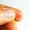Tippet-Ring-3mm-or-2mm-Lightweight-Trout-Leader-and-Fly-Fishing-Tippet-Connector-10-Pack Tippet-Ring-3mm-or-2mm-Lightweight-Trout-Leader-and-Fly-Fishing-Tippet-Connector-10-Pack