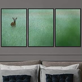 signwin 3 Piece Framed Canvas Wall Art Deer...