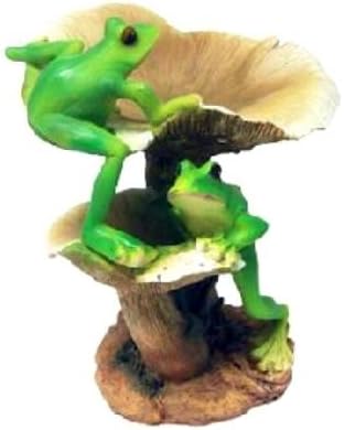 Amazon Com Frogs Mushrooms Bird Feeder Wild Bird Feeders