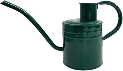 Kent & Stowe 1L Indoor Watering Can Forest Green Galvanised Steel