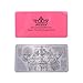 PUEEN Nail Art Stamping Plate - Fancy Lover 01-125x65mm Unique Nailart Polish Stamping Manicure Image Plates Accessories Kit-BH000555