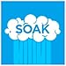 Soak-N-Rinse by Formula 420 | Glass Cleaner | Cleaner Pack | Safe on Glass, Metal, Ceramic, and Pyrex | Cleaner - Assorted Sizes (16 oz - Single)