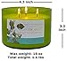 Eucalyptus Spearmint Aromatherapy Candle 3-Wick | Soy Scented Candles for Home | 15.8 oz Large Candle for Men and Women | Long Lasting Eucalyptus Candles | Decorative Candle Gift