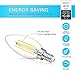 MAXvolador Dimmable E12 Candelabra LED Bulbs 40W Equivalent, Daylight White 5000K, 4W Filament LED Chandelier Light Bulbs, B11 Vintage Edison Clear Candle lamp, Decorative Candelabra Base, Pack of 12