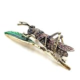 CH Cute Insect Brooch Pin Vintage Grasshopper Brooches for Women Coat Accessories