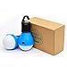2 Pack Sanniu Portable LED Lantern Tent Light Bulb for Camping Hiking Fishing Emergency Light, Battery Powered Camping Equipment Gear Gadgets Lamp for Outdoor & Indoor(BLUE)