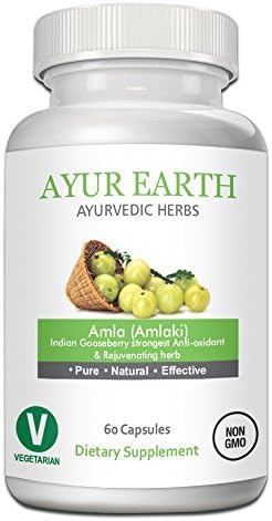 Pure Amla Powder - Ayurvedic Amlaki Pills - Indian Gooseberry (Amla Fruit) Extract - Raw Superfood - Boost Your Immune System - for Anti-Aging, Hair, Skin & Nail Health - 30 Day Supply (60 Capsules)