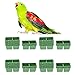 40Pcs Food Water Bowl Bird Cage Feeding Dish Plastic Feeder for Parrot Macaw African Grey Budgie Parakeet Cockatiel Conure Finch Cage Feeder Toolthumb 3