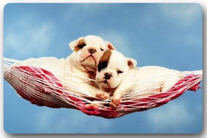 Cute Interesting Bulldog Baby Non-woven Fabric 23.6"(L) x 15.7"(W)Machine-washable Indoor/Outdoor/Shower/Bathroom Doormat