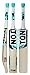 SS TON Power Plus Kashmir Willow Cricket Bat