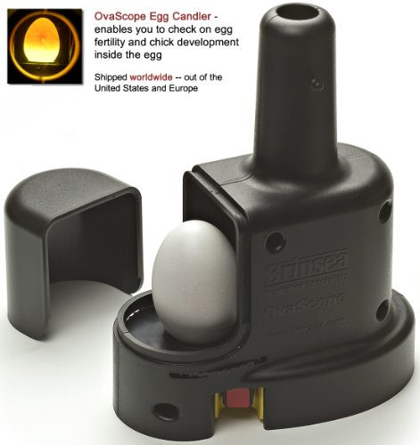 Avianweb OvaScope HIGH Intensity Egg Candler - for Highest Possible Visibility of The Growing Embryo Inside The Egg - Suitable for Darker, Mottled or Thicker-shelled Eggs