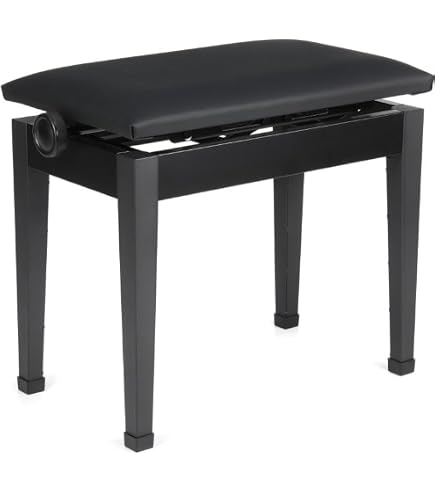 Amazon.com: Casio CB-30BK Piano Bench - Black : Musical Instruments