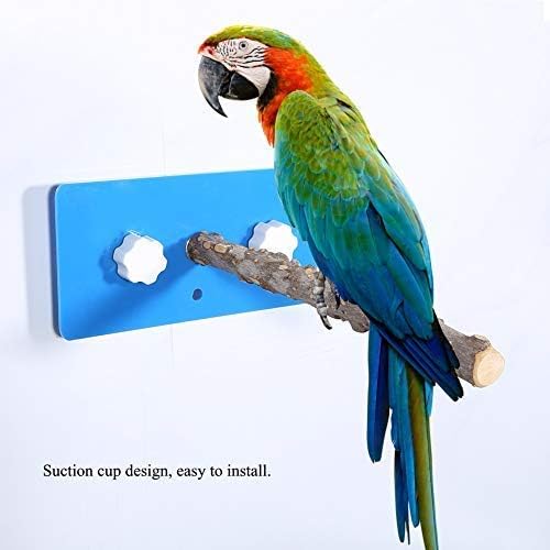 Window and Bath Bird Shower Perches, Strong Suction Cup, Natural Fagara Wood Stand Toy for Macaw African Greys, Budgies - Image 3
