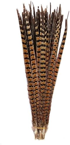 Pheasant Tails Feathers,Hgshow 10Pcs Plume Products Assorted Natural Feathers,About 20-22 inches,50-55cm Long