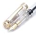 Wing Sung 698 Piston Fountain Pen (Transparent with Golden Clip)