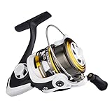 Saltwater Spinning Reel, Steed Saltwater Fishing Reels Ultralight for Finesse Inshore Reefs Surf Casting, Kayak Boat Jigging and Freshwater Ice Fishing, Piers, Bass fishing Reels - Corrosion Resistant