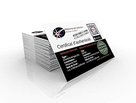 Duo De Météorites Sur Support Magnétique Certifiées