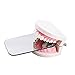 Dental Intraoral Rhodium Plated Glass Photographic Mirrors Double-Sided Intraoral Mouth Mirror Photographic Reflector Dental Orthodontic Intra Oral Mirror Orthodontic Photographic Contraster