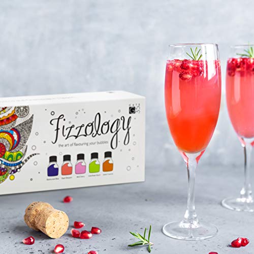 Luxury Prosecco and Champagne Toppers Set of 10 Mixers for Drinks