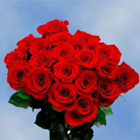 Anniversary Delivery Roses | 50 Red Roses Anniversary Delivery Roses | 50 Red Roses