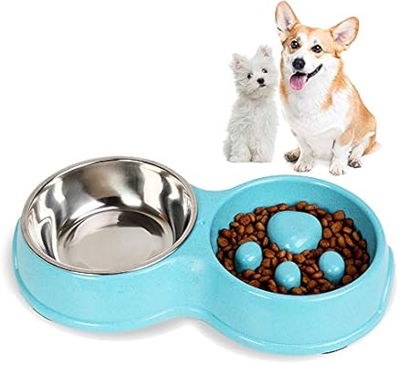 slow water bowl for dogs