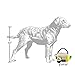 Haute Diggity Dog Grrrona Cooler Activity House, Plush Designer Dog Toys with Interactive Squeaker, Stimulating Pet Enrichment, Machine-Washable & Safe Materials for All Breeds, One Size